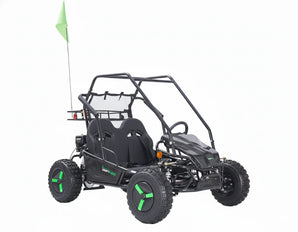 Gas Go-Kart (2 Seat)