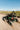 Electric Mini UTV (1 Seat)